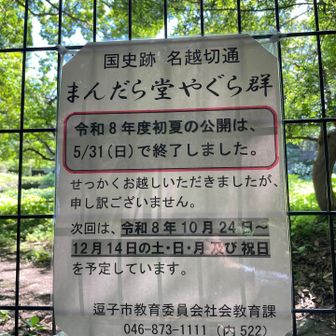 下調べしたときにわかってはいたけど残念😢
隙間から少し見えました👀