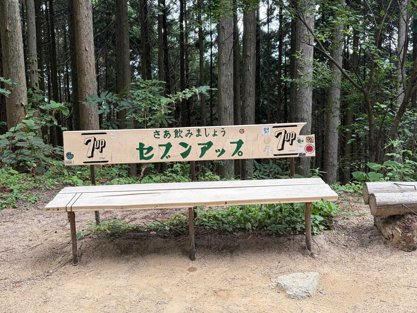 千早本道コースの写真