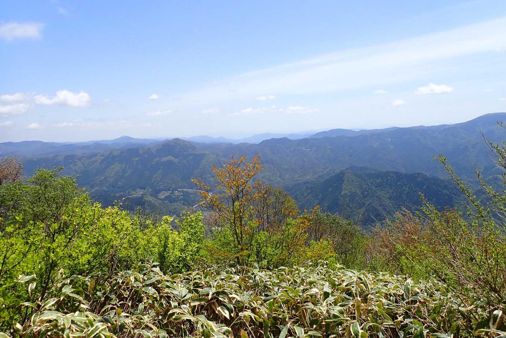真正面に鬼ヶ城山