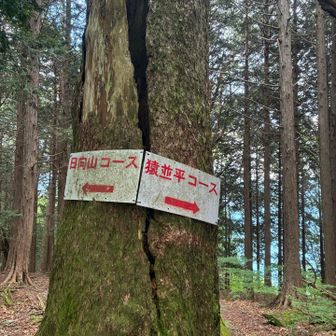 猿並平コースで帰ります♪