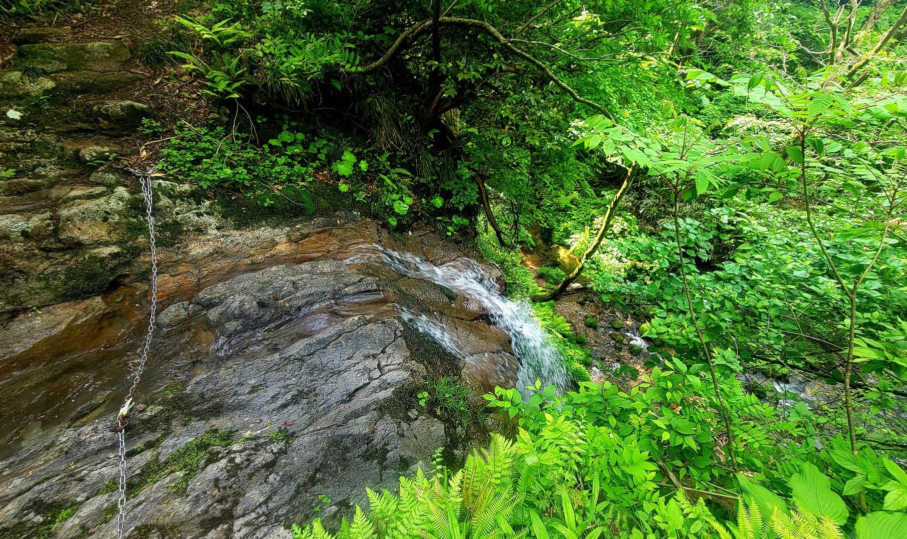 粟ヶ岳往復 | 変化に富む山道を歩く新潟中越の象徴、佐渡・能登を見渡す頂の写真