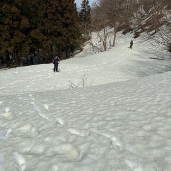 前回と違って悪場峠まで降りた
林道を歩く方が速い