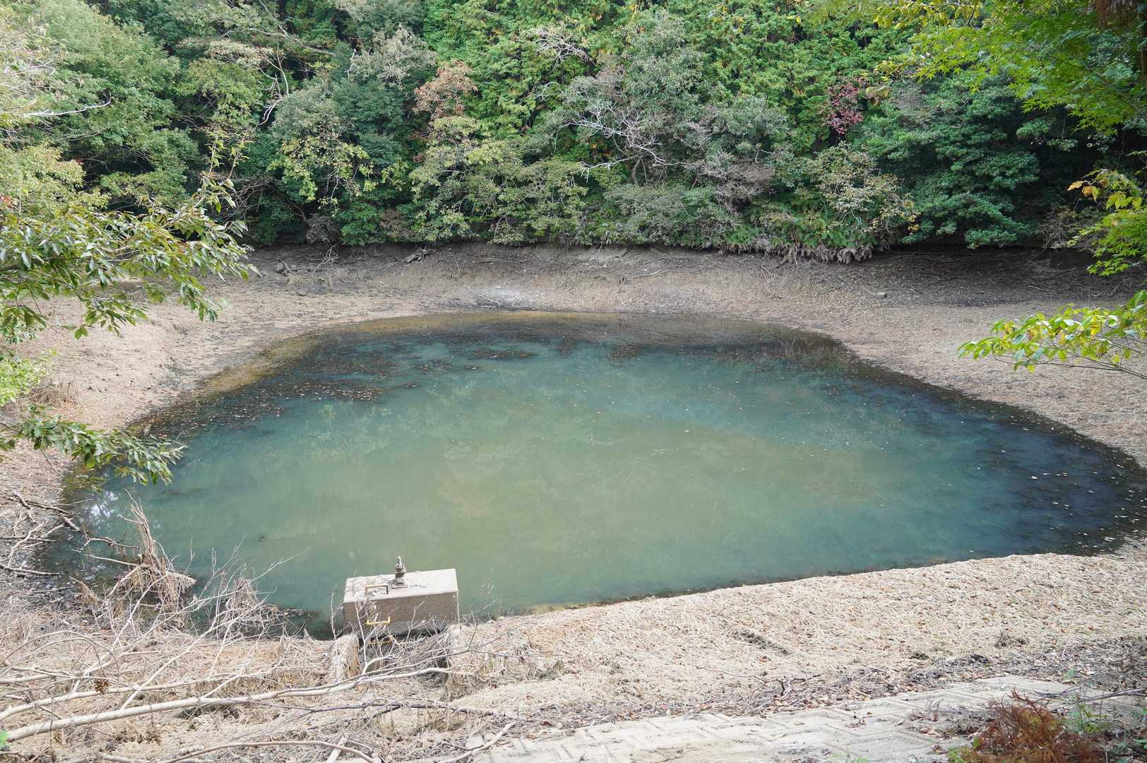 池の水が随分抜かれています。