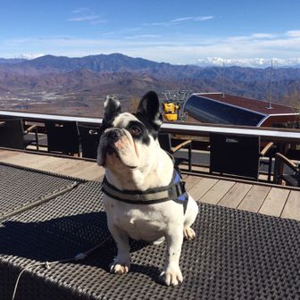 キャンカーおじさん