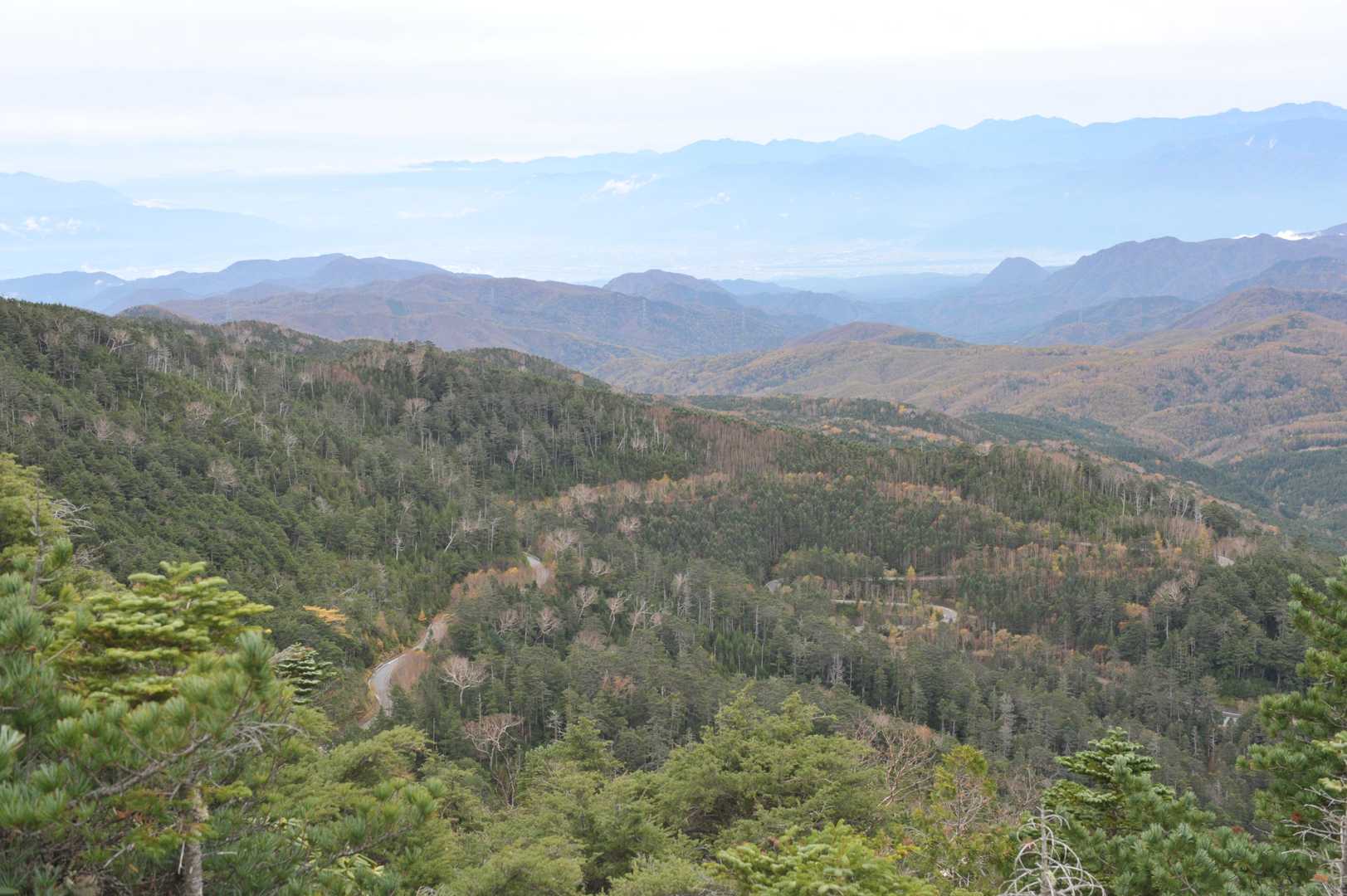 大弛峠までのくねくね道。
お疲れさまでした。

次の山へ向かいまーす。