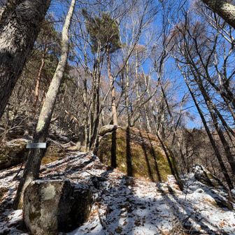 亀岩
案内板によるとほかにもいくつかあったようなのですが、見つけられませんでした。