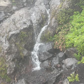まさか滝を拝めるとは。
