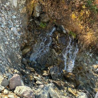 ここの湧水で水補給してから