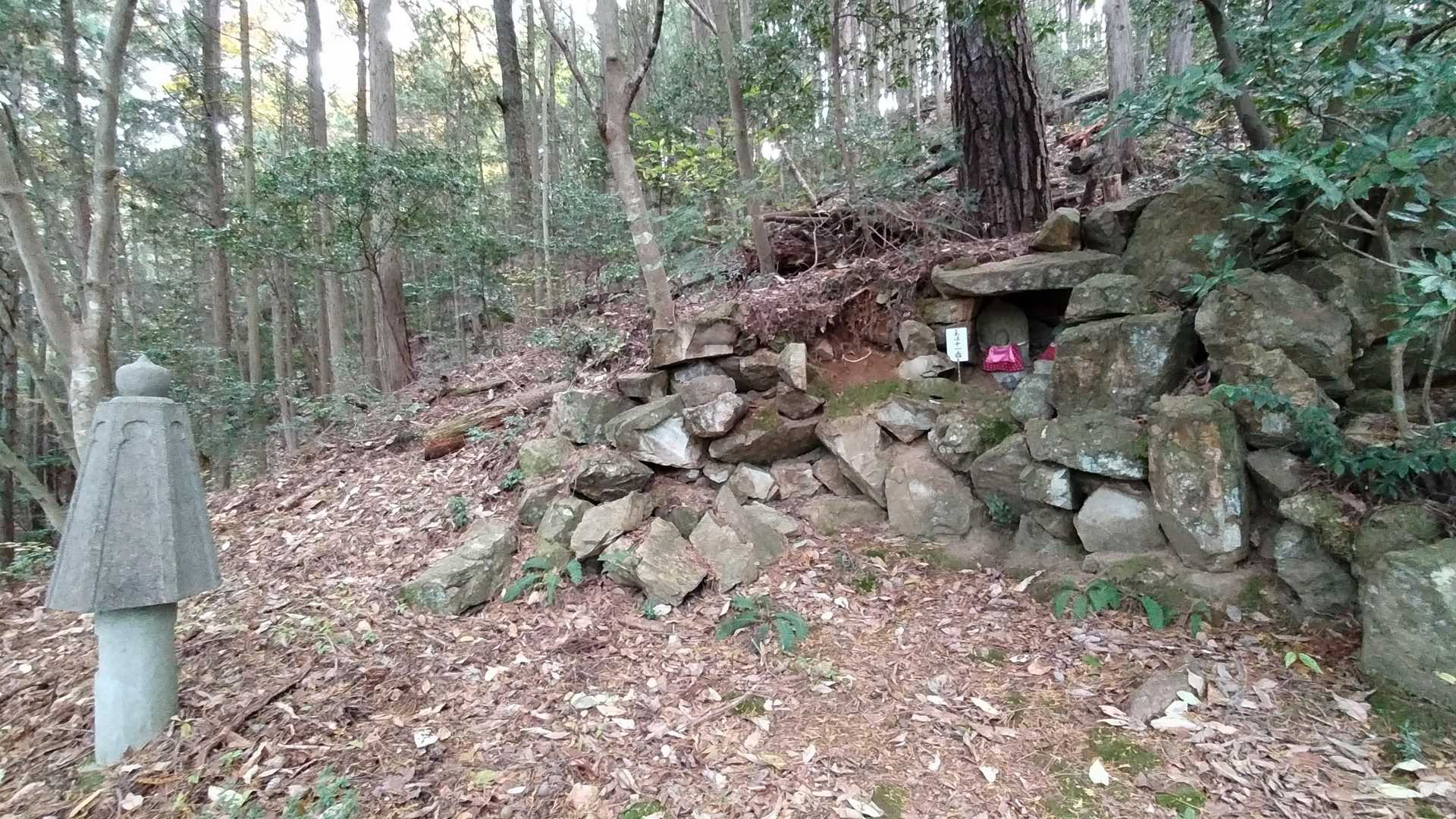 この上を登るところを真っ直ぐ行ってしまいました…🤣
