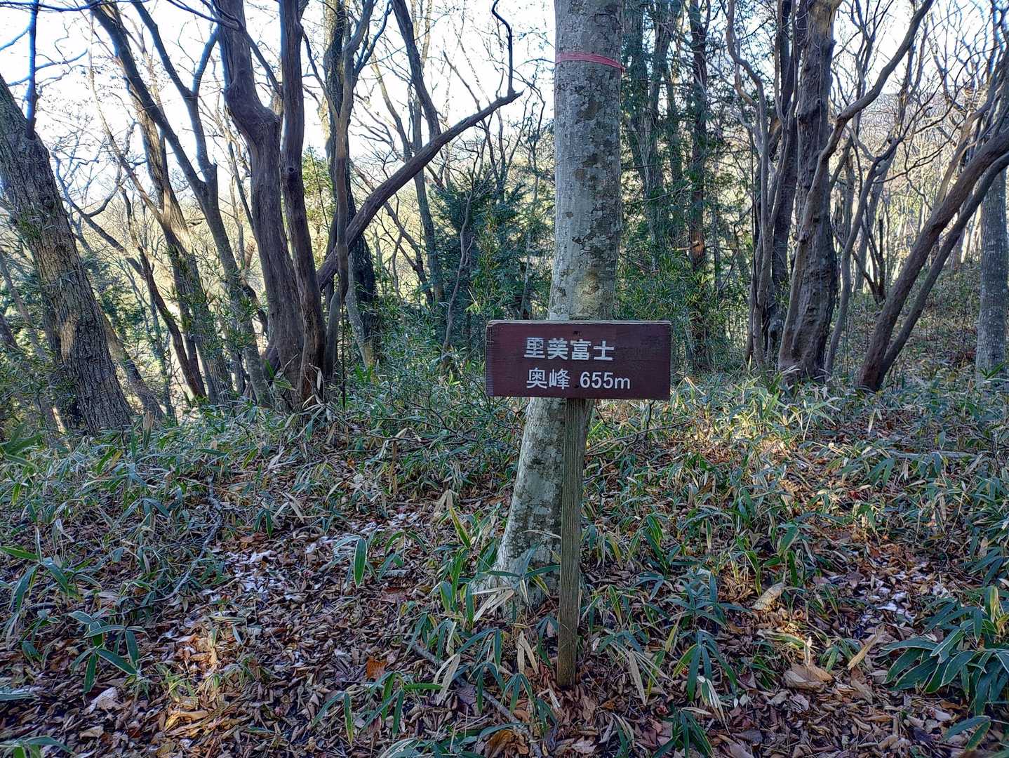 奥峰到着〰✨