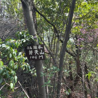 山頂プレート発見