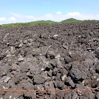 岩手山と反対の方向