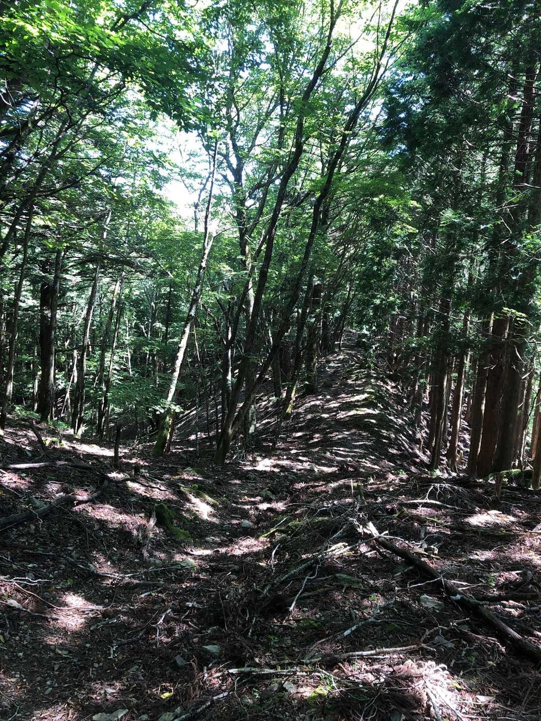 尾根を歩く