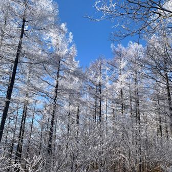 来て良かった(^^)