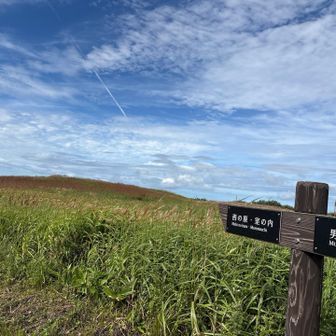 夏から秋に移ってはいるね