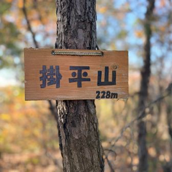 掛平山到着です