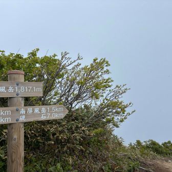 真っ白
