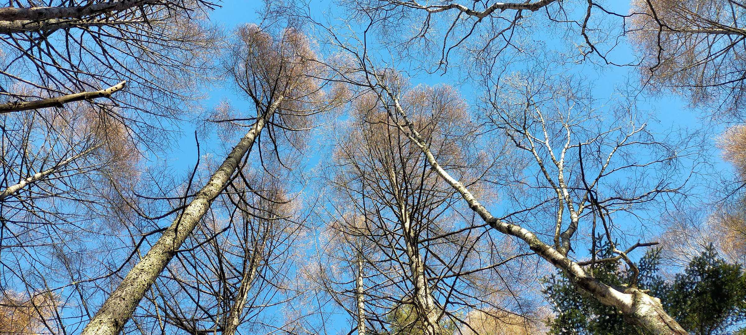 抜けるような青い空(^^)/