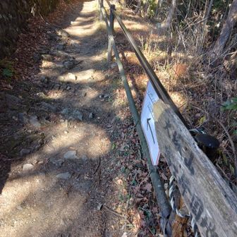 センターすぐ脇を入る