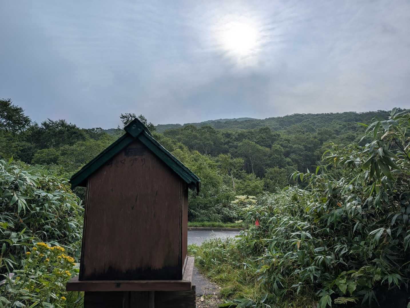 くもり☁スタート
のち☀を期待