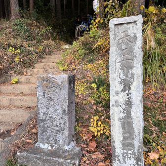 結構な段差を降りて道路着
林の中は足元暗くなりがちだから、明るい内に降りられて良かった😅
