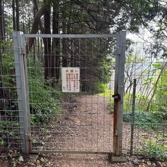この後、皆さん下山してきた🚶‍♀️‍➡️
午後から雨☔予報ですから、早めですね🙂
