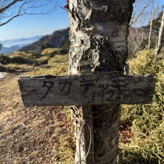 タカデッキに到着