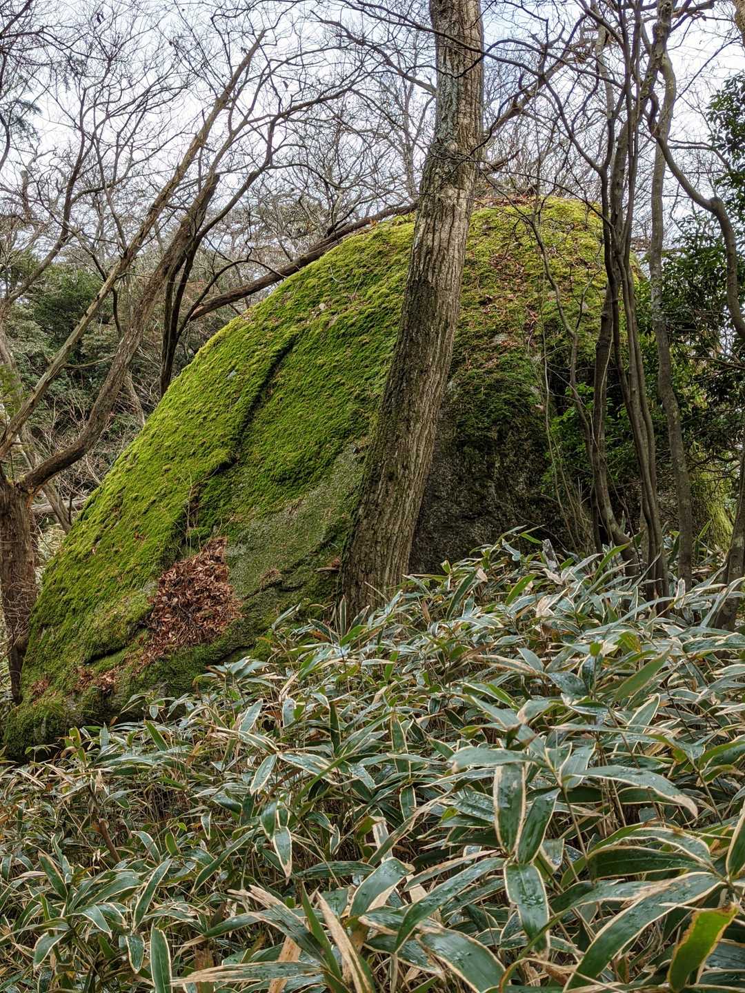 また、山頂に戻ります。ここでも巨石がありました。