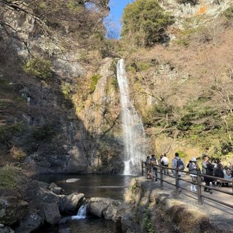 さすがに沢山の人