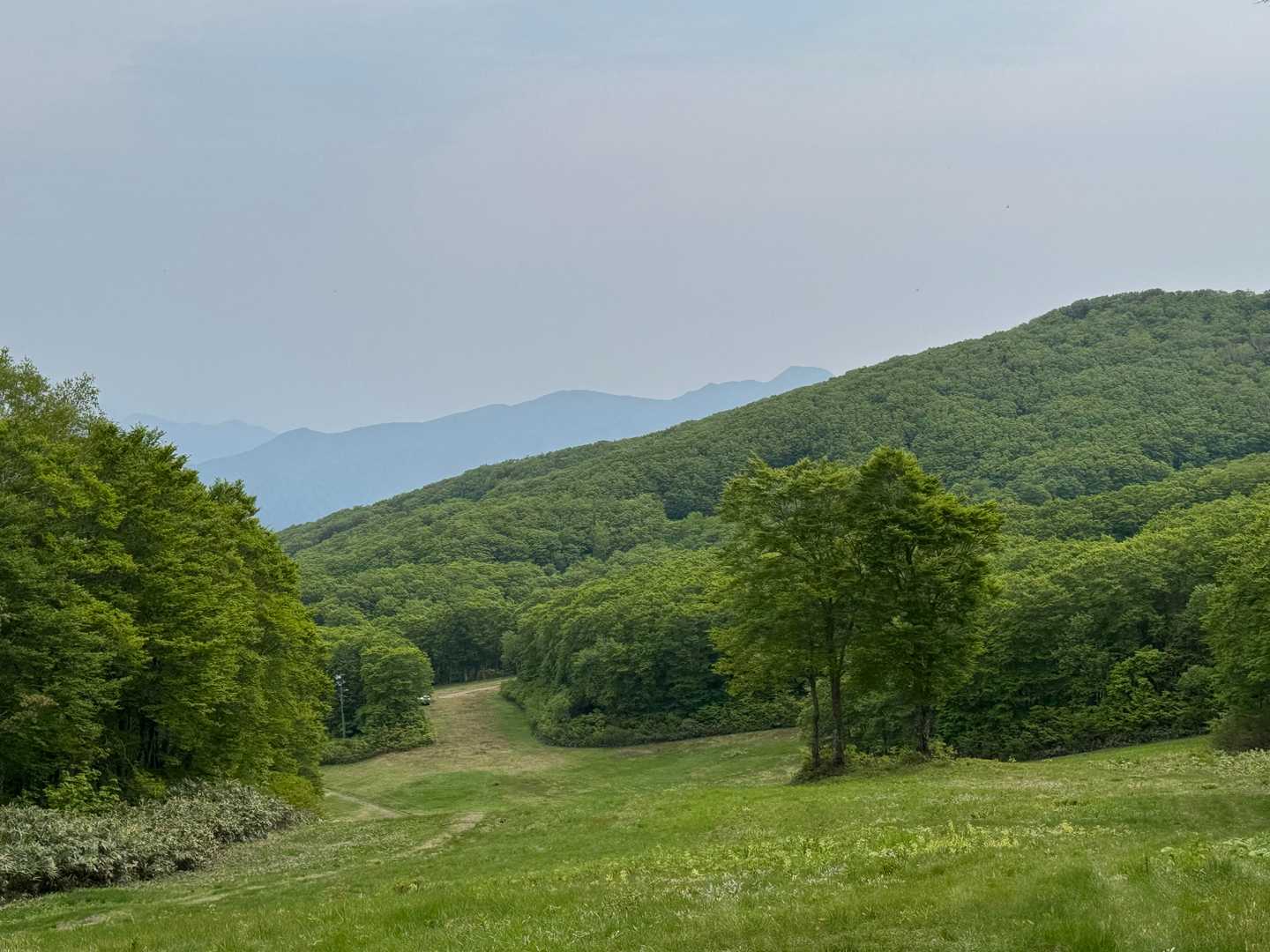 【フラット登山】蔵王の北には知られざる素敵な高原があるの写真