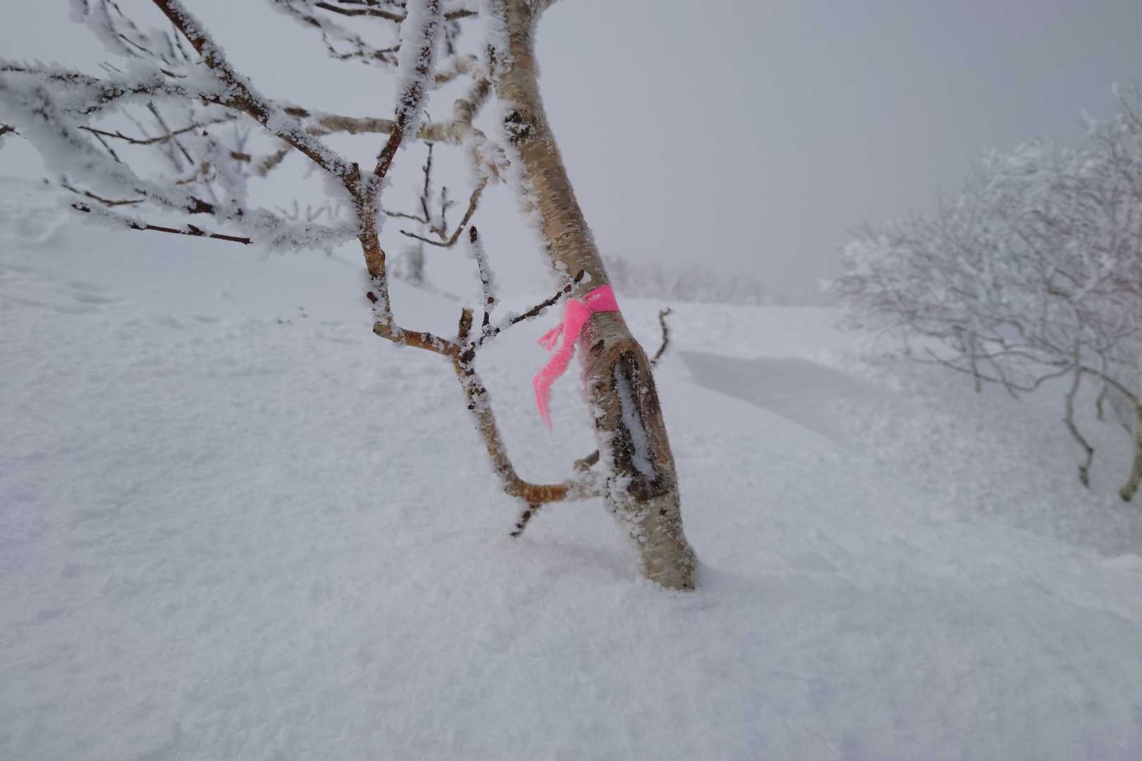 黙々と歩いてたら臥牛山山頂です。
ピンテありました。