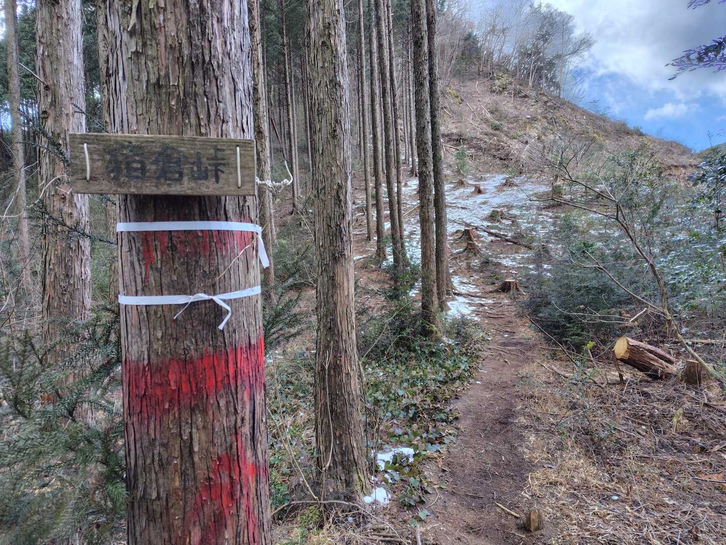 猪倉峠　
ここからスタート地点に下りることもできるけど、細野峠を通って戻ります