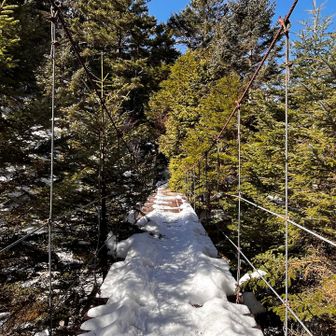 ミニ吊り橋も好きな場所