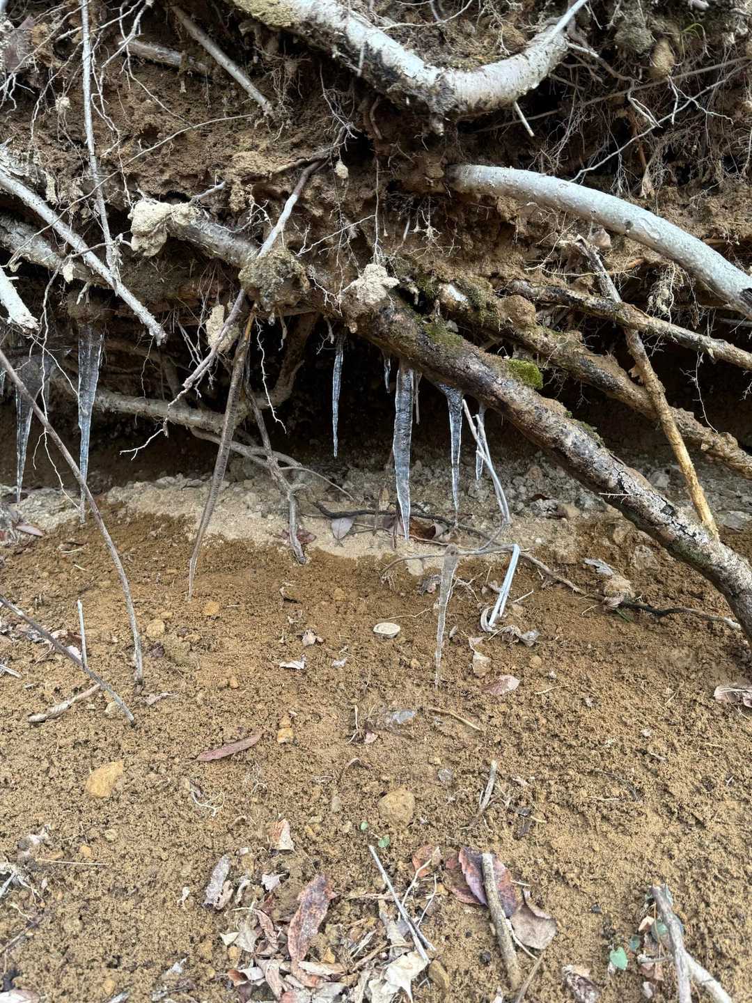 🥶氷柱　