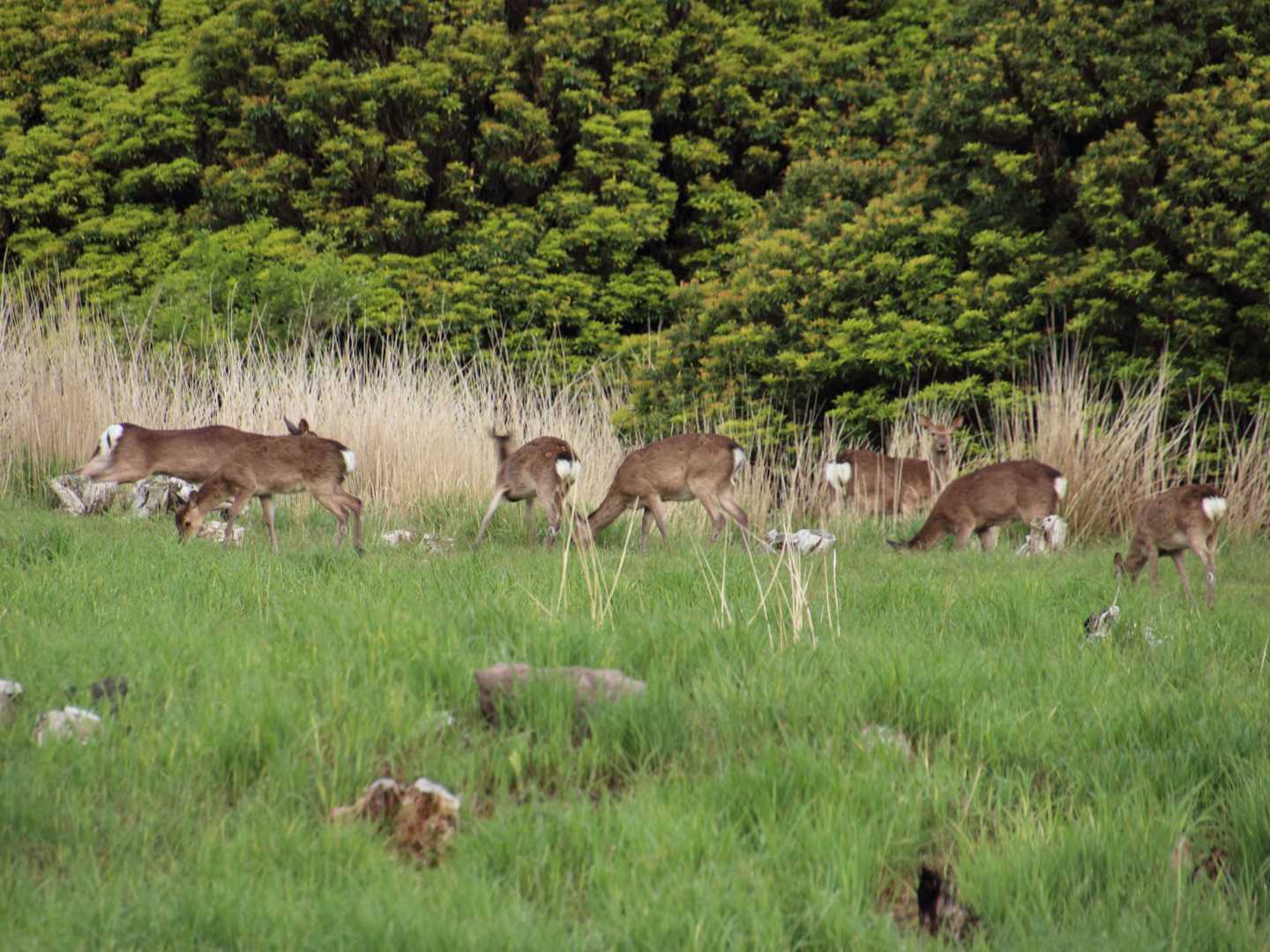 モーニング🌱