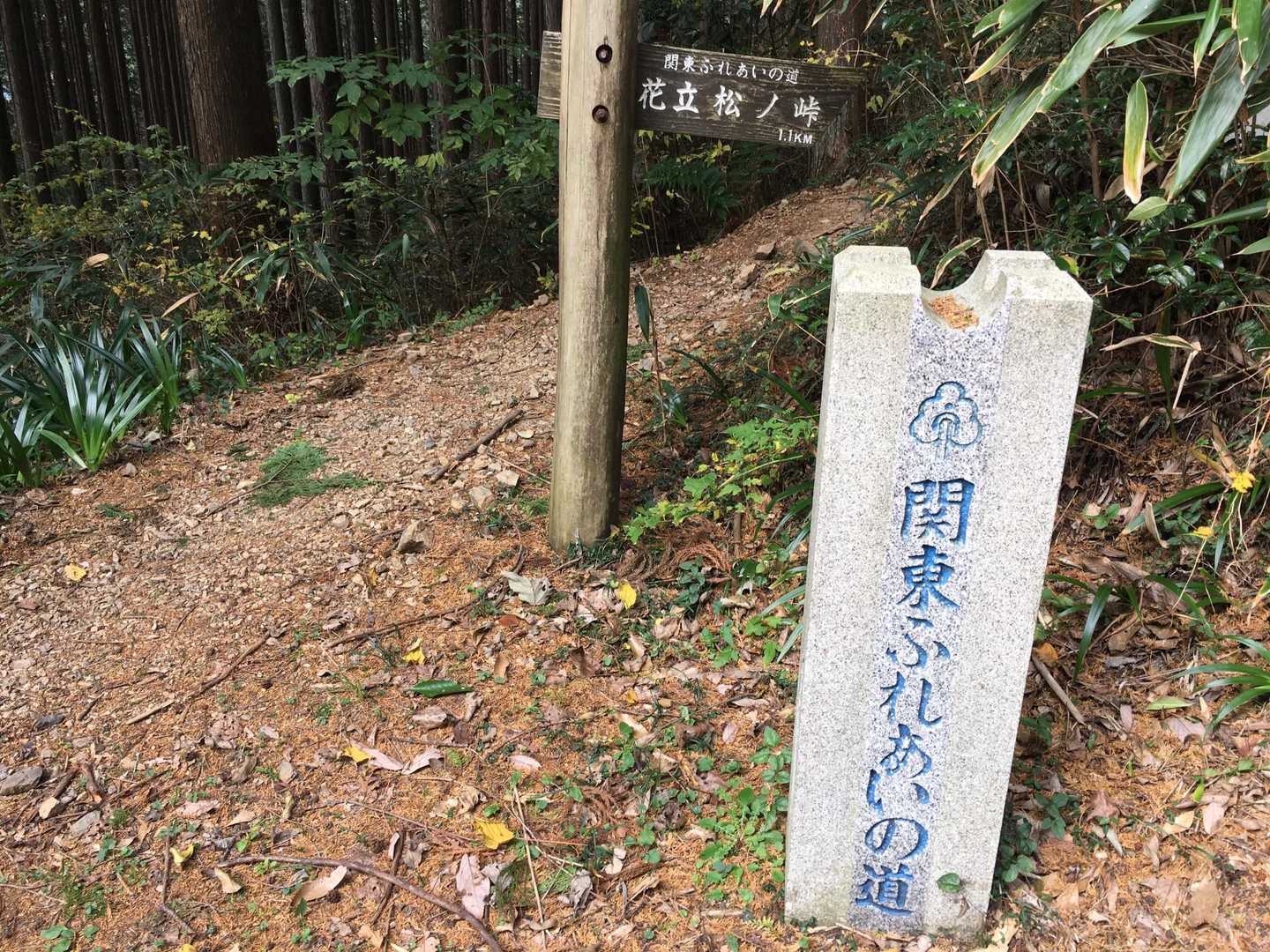 西吾野駅-高山不動パノラマコース登山口-高山不動尊萩の平コ 縦走コースの写真