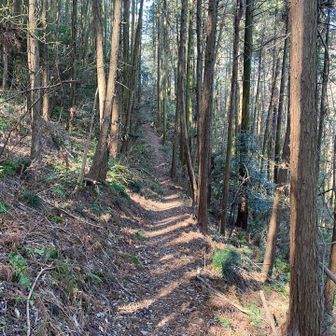 帰りは外環と呼ばれるルート。決して環状になっているわけではないものの、いくつかの登山道の外側を通るからか