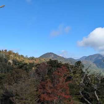 目指す行者還岳見えてきました👀