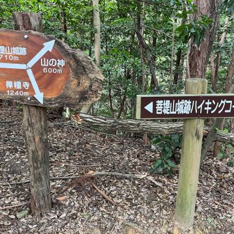 山の神？ちょっと気になります