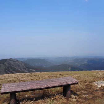 ここでちょこっとランチ