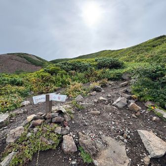 避難小屋との分岐です
行きは直進、帰りは右から来ます