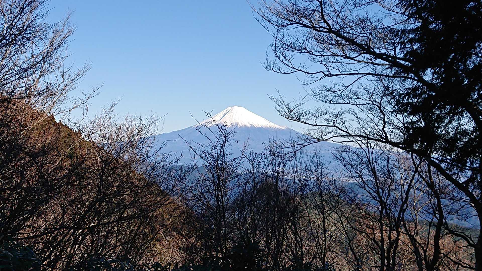 今日はほんと富士山がきれいに見えました😆