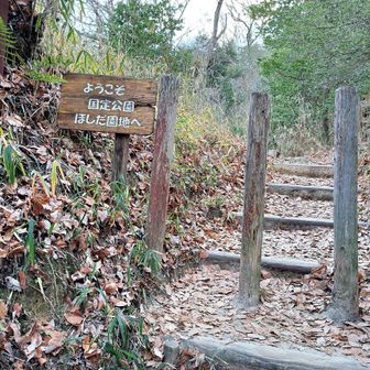 向かいが白峯、通行止めでした😢