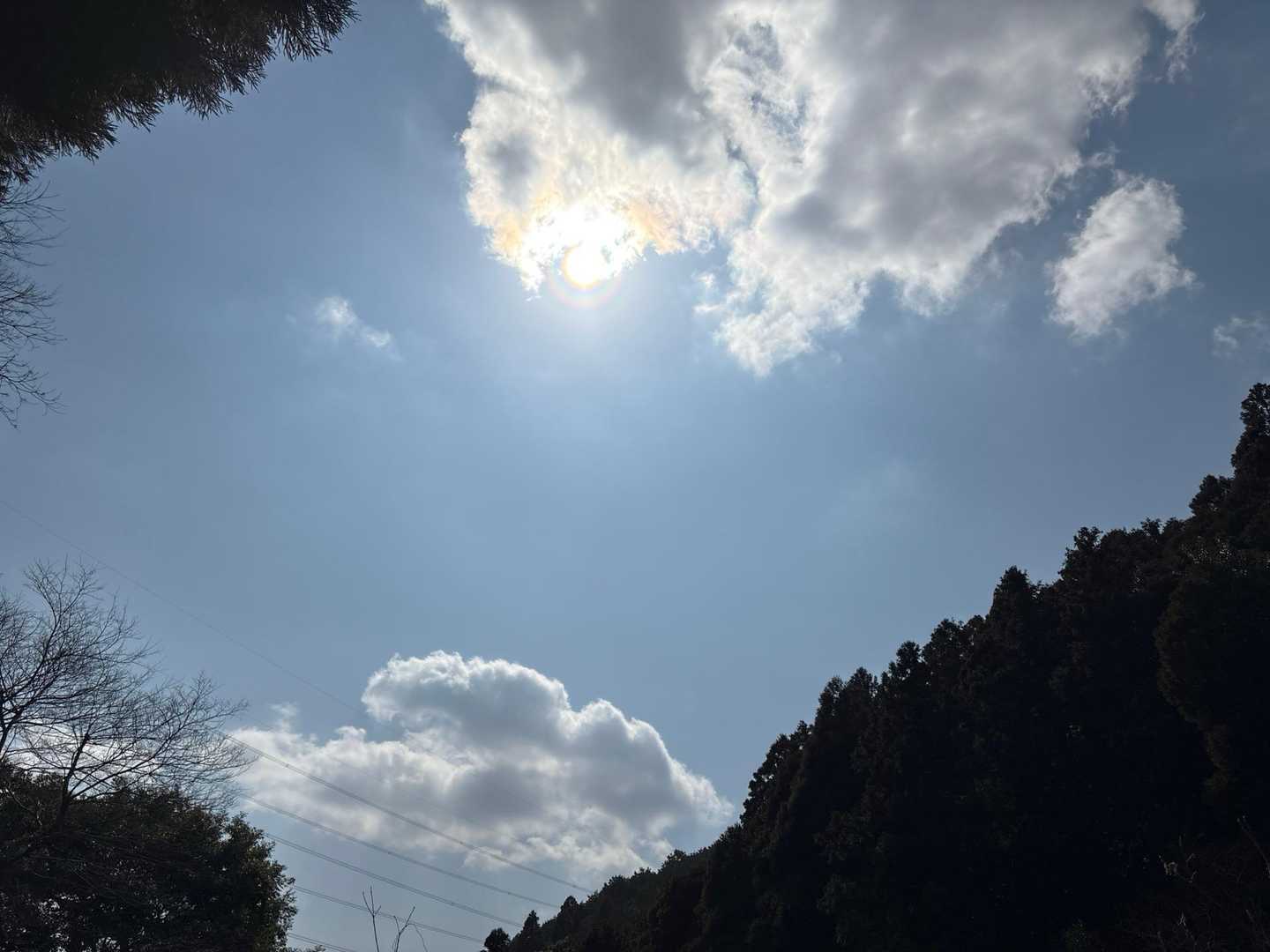 空を見上げて、いってきまーす👋