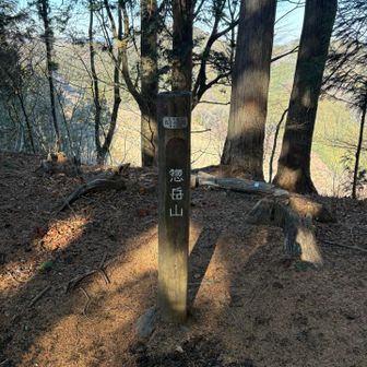 惣岳山山頂🏔️手前にある急登エリアは好きな山道😊