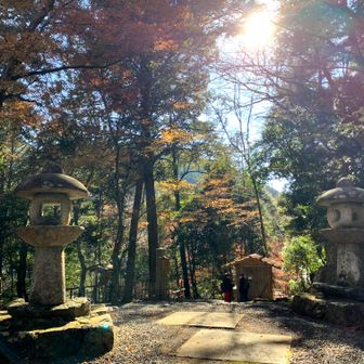 〽京都栂尾高山寺🎤😙