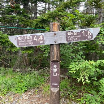 長塀(ながかべ)山
