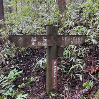 だいぶ登って来たでー
写真は撮ってないけどここの手前は約450段の階段😑