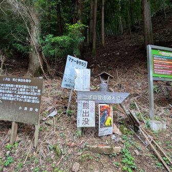 西武秩父線 各停で集合場所 西武秩父駅へ
タクシー移動して二子山登山口
雷予報が出ているので、講習なしですぐに登山開始
もう ぽつぽつ雨が降り出した