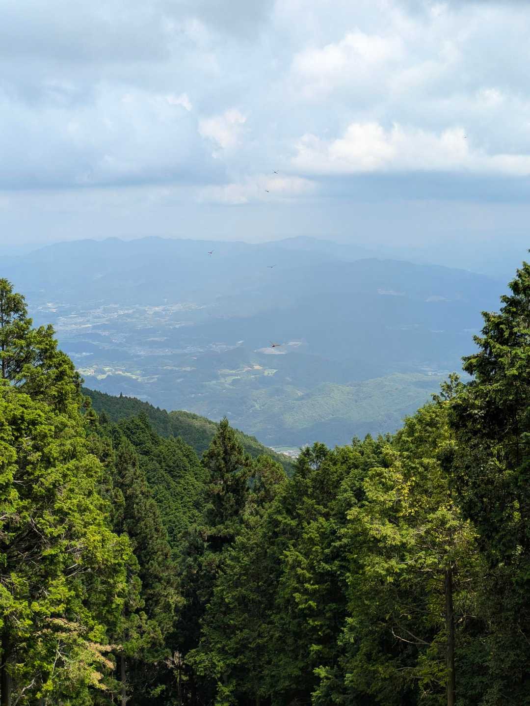 百ヶ辻登山口-金剛山山頂売店-金剛山-転法輪寺-金剛山葛木 周回コースの写真
